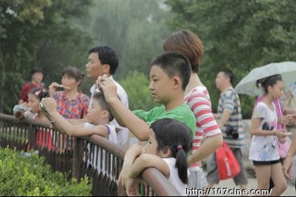 特殊的暑假作业：用相机捕捉动物的精彩瞬间