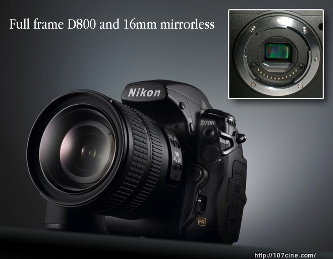 尼康D800和16mm无反光镜相机8月底上市?