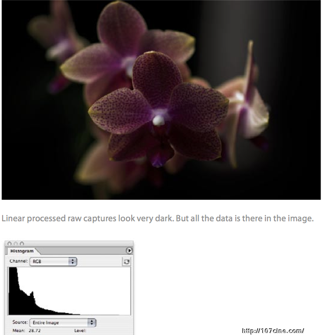 Raw Capture, Linear Gamma, and Exposure 中英文对照