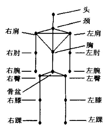 人体骨骼简化模型