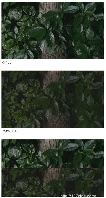 PMW——100对比XF100