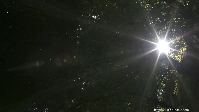 [Zeiss] 三陽T光圈鏡頭與蔡斯初步印象