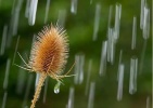 摄影师的雨天拍摄计划