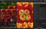 Final Cut Pro X 10.3 更新说明