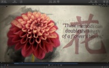 Final Cut Pro X 10.3.2新功能说明